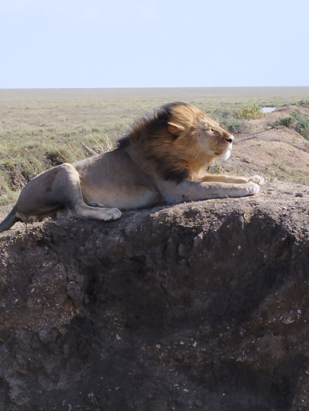 The Beating Heart of&nbsp;Africa